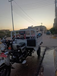 ستوته ٢٠١٩ • كفاله عامه • اصيها مصبوغ