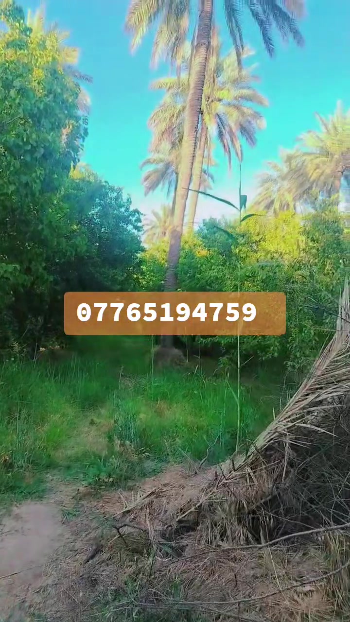 السلام عليكم
2 دونم ملك صرف سند ٢٥
العنوان بغداد الراشديه بالقرب من (جامع عبد الكريم ابو غازي)
للأستفسار
***********
***********
