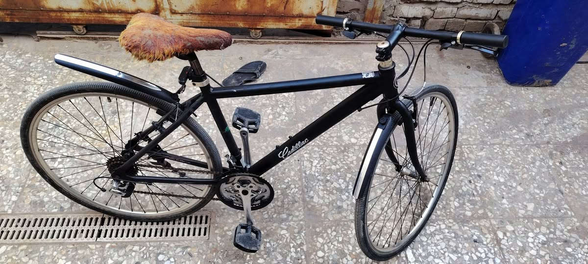 قيم


**إذا كنت صاحب هذا الإعلان وتريد حذفه لأي سبب، رجاءا أرسل رسالة إلى الدعم الفني**