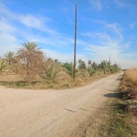 أرض زراعيه • ٤ دوانم • المراديه جدوع