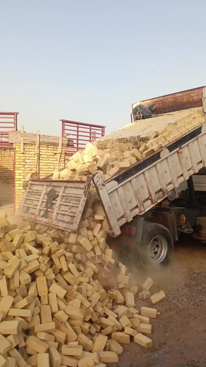 شرط المكلاب ***********
