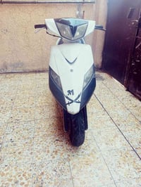ثعلب • سلف وهندل • كفاله