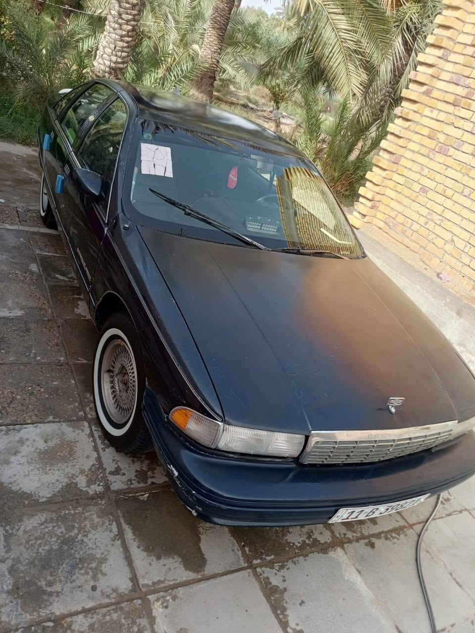 السلام عليكم
كابرس دولفين 1991
رقم أنگليزي بغداد بأسمي 
مكينه في في تي 3000
غرفتها گدام عينك تعال وفرش ونام بيها 
كهربائيات كلها شغاله 
تخم تاير 
تبريد شغال 
بديها شوف العين نظافته 80%
منظومة زنون 
سنويه بأسمي تريد تحويل تريد أدوار الك بكيفك 
سعرها 40  لأن متعوب عليها أذا مو شراي لا تكسر بيها 
مكاني الناصريه 
الرقم ***********
