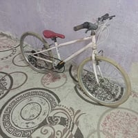 بيسكل • ياباني • حجم ٢٤