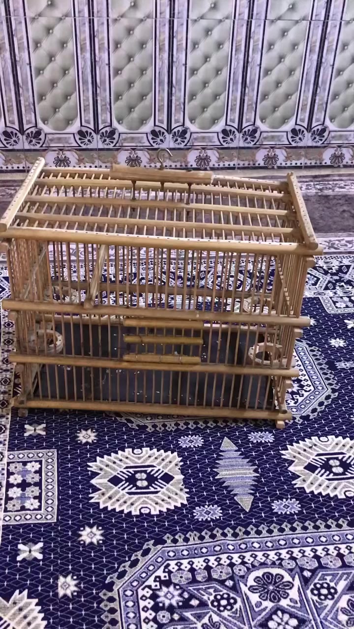 متاح التفاصيل بالفيديو


**إذا كنت صاحب هذا الإعلان وتريد حذفه لأي سبب، رجاءا أرسل رسالة إلى الدعم الفني**