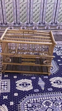 ديكور • تفاصيل بالفيديو