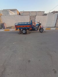 ستوته • ٢٠١٩ • مكفولة