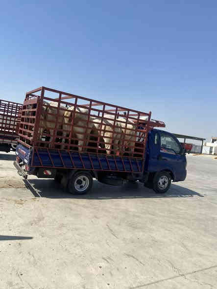 يالله السلام عليكم كيا فحل مسكر 2019 مجول مكينه جديده شديتها قبل اسبوع ب18 ورقه تخم تاير جديد محور بدي مغلف طشت +جكر  رقم قادسيه سنويه صاله 3 اشهر ساقطه بسم ولد صاحبي تحويل مباشر كفاله عامه من عده البنيد اولغد جهه السايق امبدلات نفس الون اصلي مال تفصيخ سياره كامله ماعايزها برغي كبل لشغل مكاني حله حي العسكري سعر 160 اوبيها مجال 
***********
