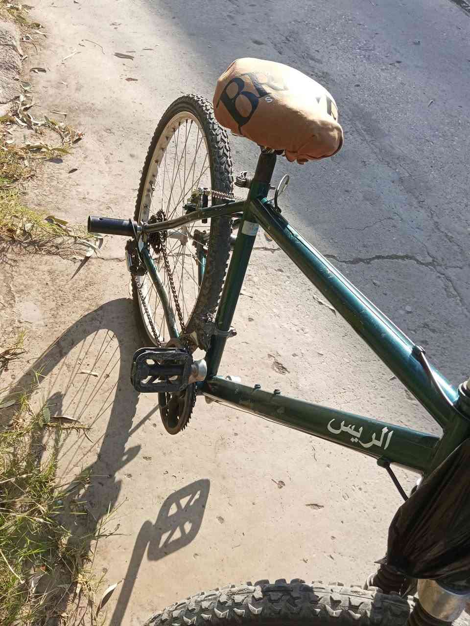 السلام عليكم بايسكل جبلي لون زيتوني كلو شركة سعر 70بي مجارللطيبين المكينه الوره6والمكينه الكدام3 مكاني حي صدام ♥️


**إذا كنت صاحب هذا الإعلان وتريد حذفه لأي سبب، رجاءا أرسل رسالة إلى الدعم الفني**