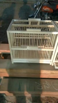 قفاص بلابل • ٥٠×٣٥ • البصره المدينه