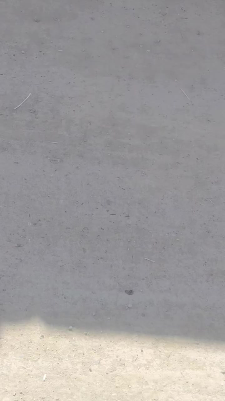 بيت حي الرساله مساحه 360م واقع حال 450م ركن على شارعين بناء طابوق كما موضح في فديو سعر 110 بيه مجال، *********** مراجعه مكتب المسعودي
