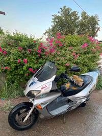 فورزه • نضافه • اوراق