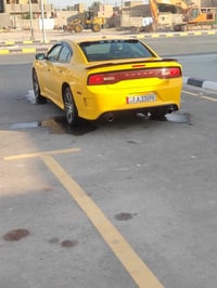 SRT • ٢٠١٣ • رقم ذي قار