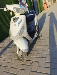 منغولي • وكالة • كفالة