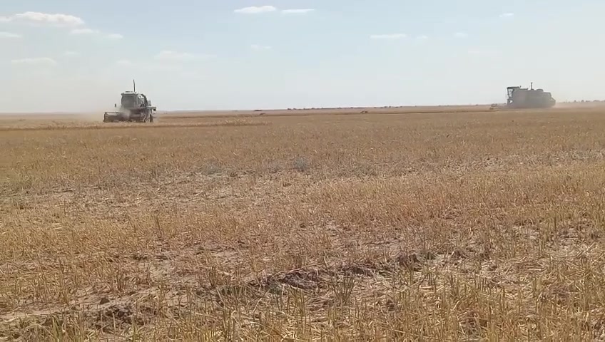 حاصد كلاص موديل 89 رقمه نجف جهزه محرك كير اكسل كشره حلو السعر 8مليون اوبيه مجال ***********
