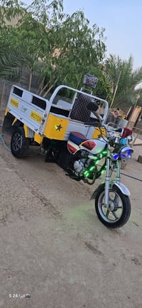 ستوته • ٢٠٢٣ • فحل