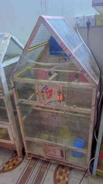 قفص للبيع بي 5 بيوت وكامل ملحقات مأكليه  خشب ومال ماي حتى نايلون مضروب  السعر 12 نهائي مكاني حي فلسطين شارع 95 تواصل ***********
