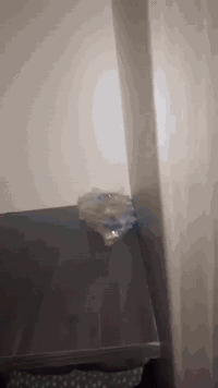 غرفه نوم استعمال قليل خمس قطع مسعجلين عليهه سعره 250 ليريده خاص مكاني حي العامل


**إذا كنت صاحب هذا الإعلان وتريد حذفه لأي سبب، رجاءا أرسل رسالة إلى الدعم الفني**