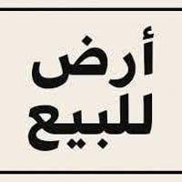 مقابل قصر السندباد • ١٣٠٠م² • ملف جاهز