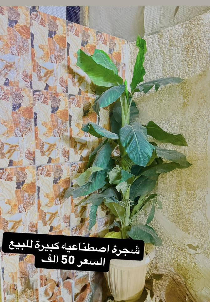 غراض للبيع مكاني حي الجوادين للاستفسار خاص


**إذا كنت صاحب هذا الإعلان وتريد حذفه لأي سبب، رجاءا أرسل رسالة إلى الدعم الفني**