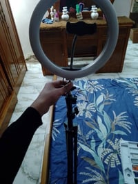 البيع 07756833933