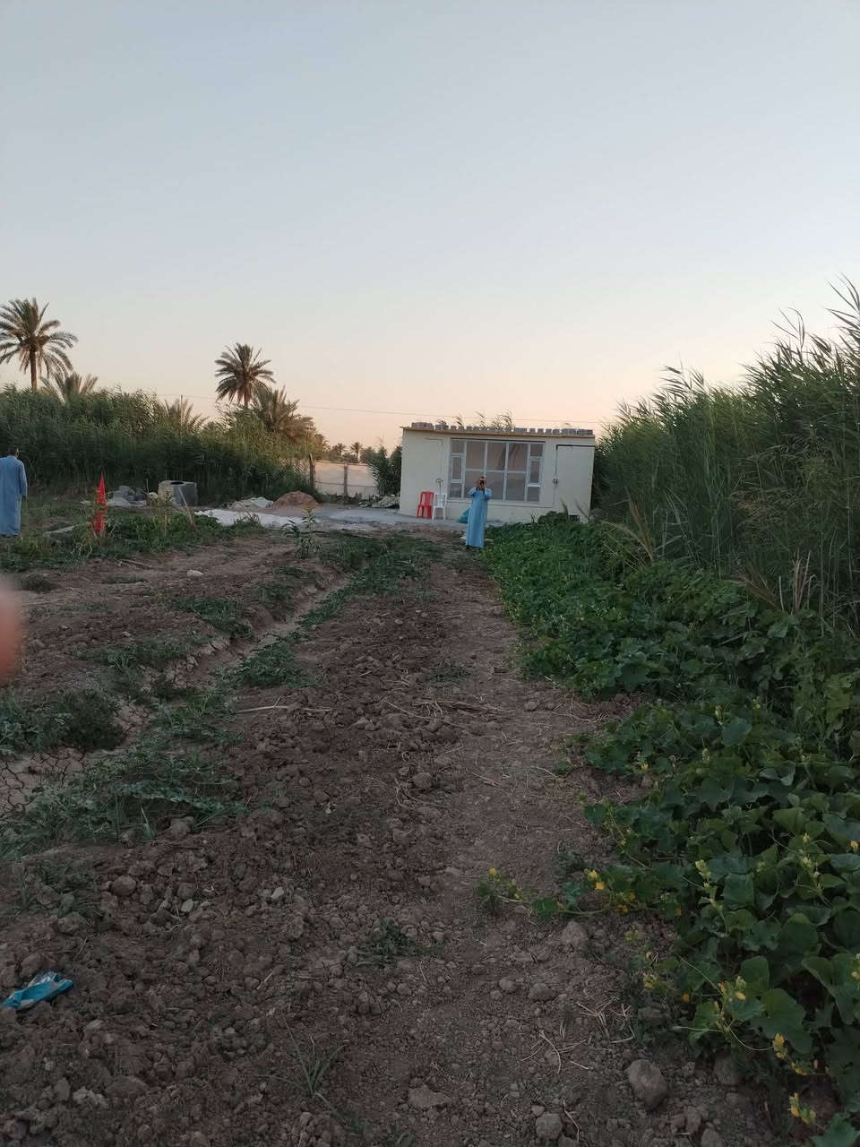 ارض زراعيه مساحه ٢دونم و٦٥٠متر كاع روعه تسقي سيحا موقع ممتاز كافه الخدمات طويريج الحولي مقابل الحي العسكري تفاصيل على الخاص مكتب حيدر للعقار ***********
