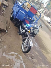 ستوته • فول نظافة • مكفولة