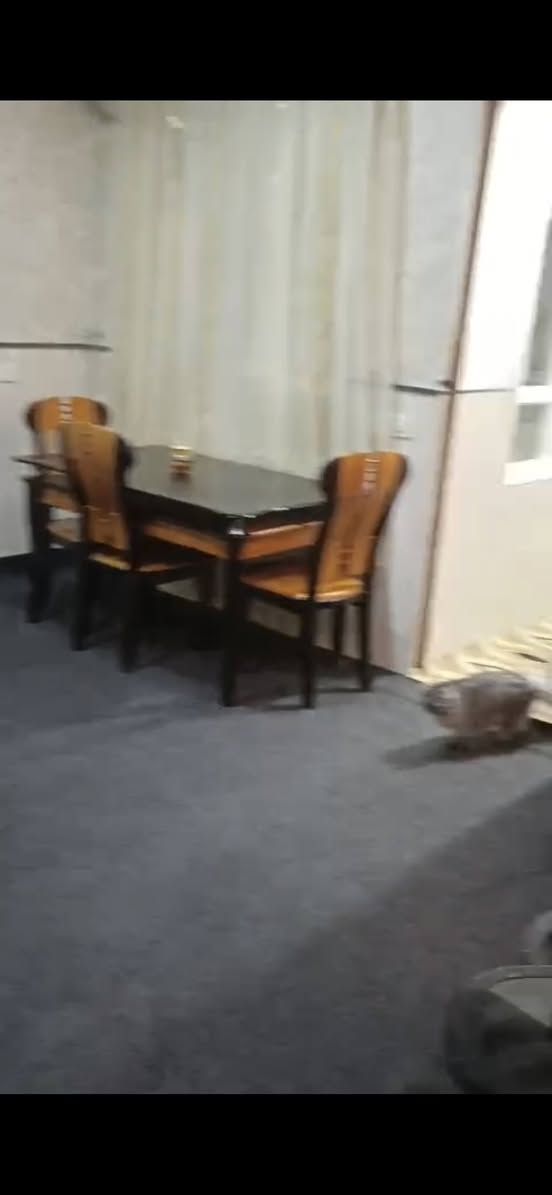 بيت للايجار حي شارواني مقابل حديقة#مفروش ٥٥٠ الف
*********** واتساب
