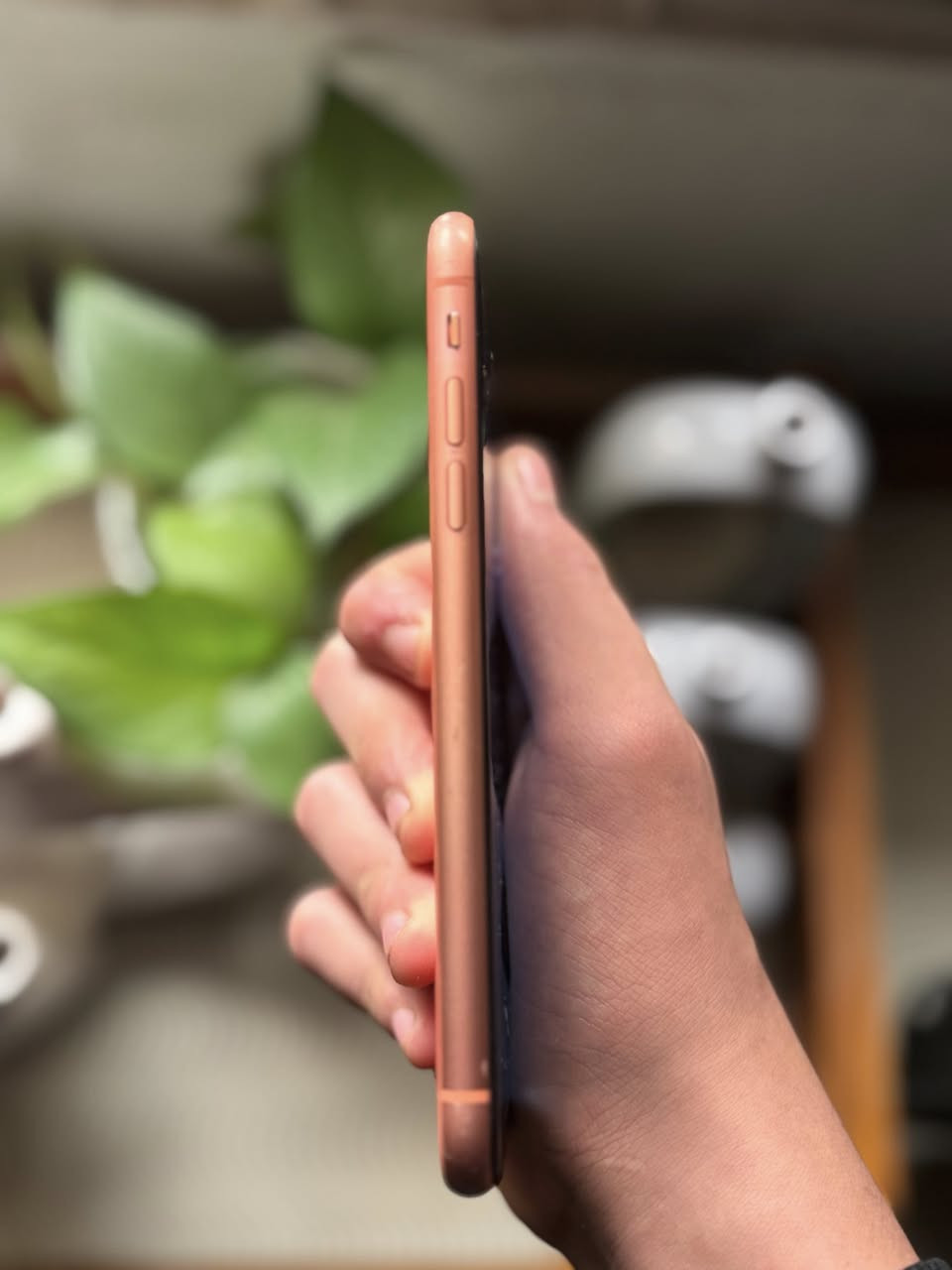 ايفون اكس ار للبيع اكو مراوس كركوك


**إذا كنت صاحب هذا الإعلان وتريد حذفه لأي سبب، رجاءا أرسل رسالة إلى الدعم الفني**