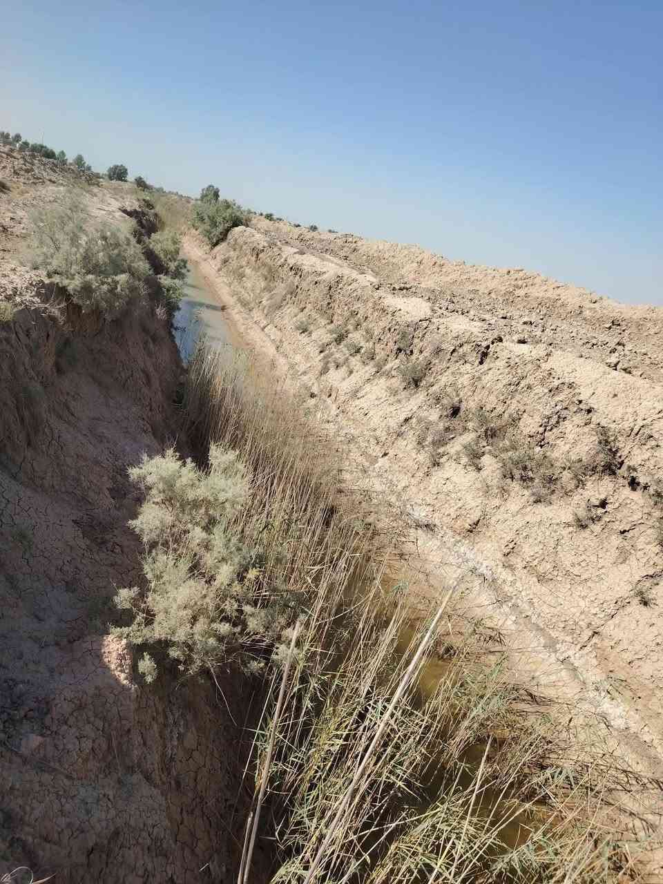 اللهم صل على محمد وآل محمد(ص)
إعلان أرض زراعية للبيع المساحة ٣٠ دونم
مع حقل دواجن ٥٠٠ متر مربع جاهز للعمل 
مع ٢ بيت بناء حديث
الموقع النيل مضخات كيش قرب مدرسة دمياط الابتدائيه
للاستفسار *********** 
***********
