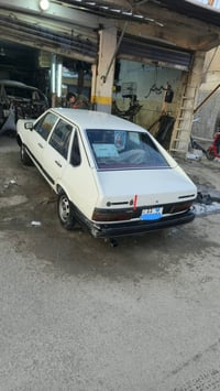 برازيلي • ١٩٨٧ • بدون صبغ