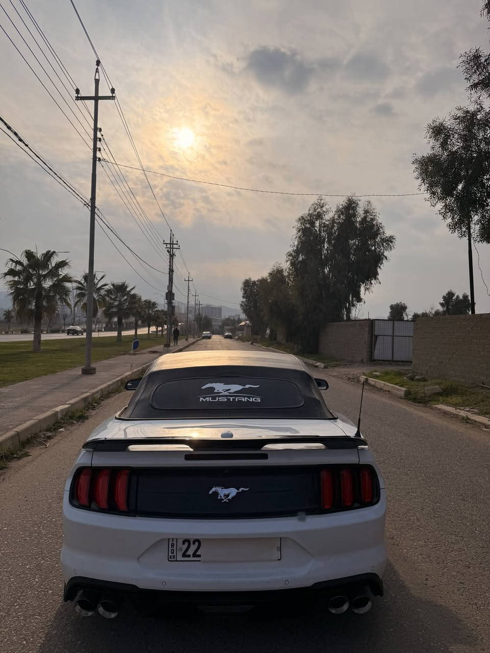 ((ارخص و انضف)) فورد موستنك موديل 2018 فول فول برنيوم بكل العراق 🤍🐎
((سعرر 127 ورقه  ❤️‍🔥)) بلاش بلاش والله 
موصفات: 
(أيكوو پوست 4 سلندر)
سياره جديد دينار مصرف مابيه كير مكينه بشرط 
فول 1/1 بريميوم
اربع سلندر 2.3 تيربو
سياره كامل كلوب و نشره 🟪🟥🟧🟫🟨
لون ابيض 🤍 
سقف كشف
كشنات جلد 
كشنات كهرباء 
كشنات تبريد وتدفئة
شاشة كبيرة 
نضام كاربلي واندويد
دشبول 7 الوان
لايت زنون بلادي
خمس مودات قيادة
شفتات بالستيرن
كير 10 نمر
تبريد فول ومناخ منفصل
حساسات خلفية
كامرة خلفية دوارة
تشغيل عن بعد مع بصمة ابواب 
داخل لونين 🧡 🖤
علامة الحصان ضوئية بالمري
هيتر بالمري
((كير مكينة بشرط تريك وين ماا تريد )) (مكينه ماا مفتوح) بشرط
(رقم سنوي جديد رقم اربيل تحويل اول يوم)) سنوي لل 2030
ماشية 81 ميل
حادثه :: بيه (فقد 2 قطعة صبغ) (3 قطع تبديل) حادث خفيف جدا هذا رقم شاصي ⬇️
1FATP8UH5J5155399

سعرر سياره بلاش والله (127 🔥)

عنوان سياره ((زاخوو قريب عن دهوك 💟))

للاستفسار اتصل بهذا رقم

***********

واتساب موجود 24 ساعه اني بل خدمه
