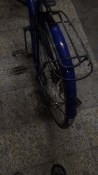 سلام عليكم شباب بايسكل بناتي ياباني للبيع باسكل وضع حاويه جاملخ موجود اذا اكو بايك رياضي اراوس ونطي فرق مكاني بغداد الشعب سوق شلال  السعر ميه وعشره  رقم الهاتف***********
