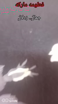 محل ملابس • قضاء الرفاعي • شارع البريد