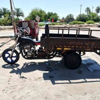 ستوته • ٢٠١٢ • اوراق