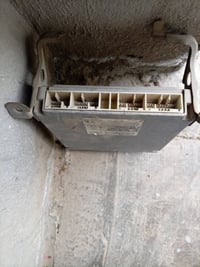 عندي عقل مال كورله بيكاجو للبيع الاتصالات على الرقم ٠٧٧١٢٣٥٦٥٥١