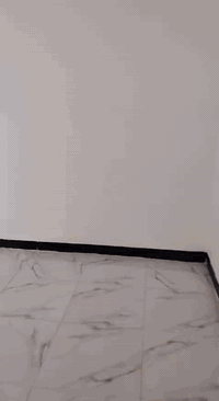 بيت للايجار 50 متر ملحق قريه الغريد قرب أسواق تلعفر للإستفسار الاتصال على الرقم *********** موجود واتس
