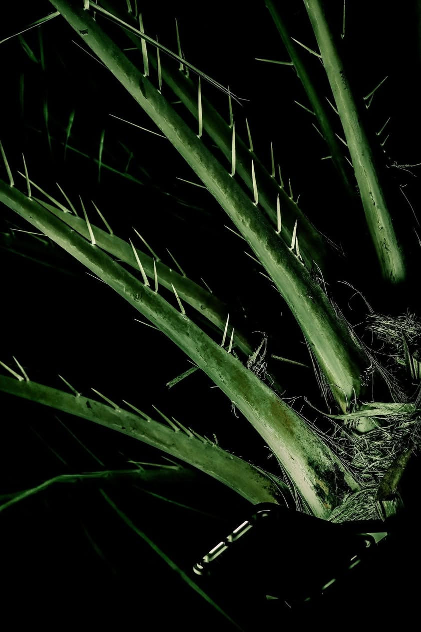 نضافه 100/100
مراوس بنيكون حتلا انطي فرق شعندك نزل بلتعليقات


**إذا كنت صاحب هذا الإعلان وتريد حذفه لأي سبب، رجاءا أرسل رسالة إلى الدعم الفني**