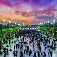 كربلاء النجف • كوستر حديث • مخصص للعوائل