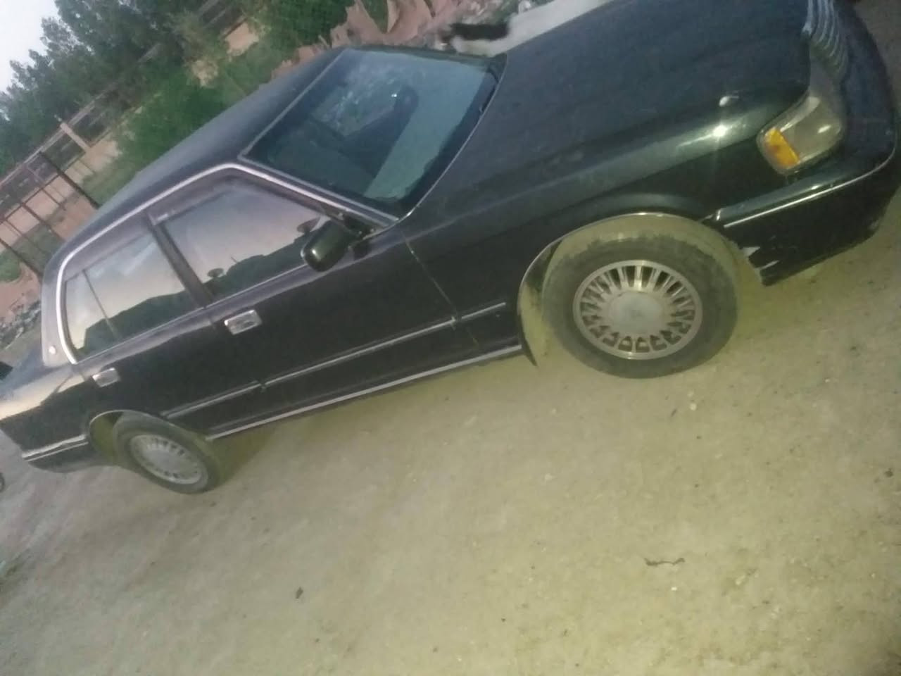 موديل 94 محور ومصبوغه رقم انكليزي باسمي سنويتها لل 31السعر 57 وبيها مجال *********** مهدي المشعلاوي
