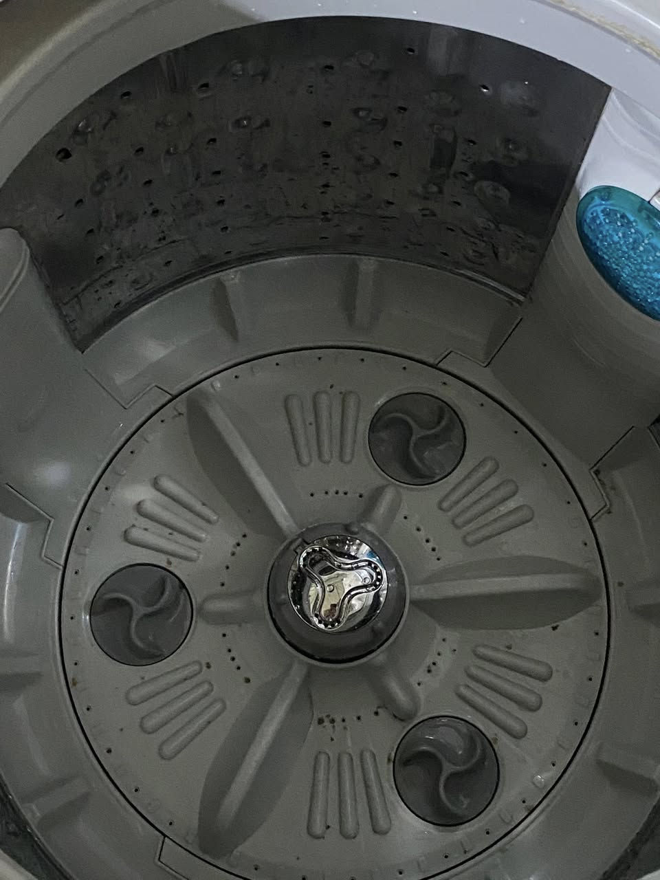 غساله نضيفه كلش كلش   نوع الجي من احسن النوعيات ب225  بغداد بلاسكان منصور


**إذا كنت صاحب هذا الإعلان وتريد حذفه لأي سبب، رجاءا أرسل رسالة إلى الدعم الفني**