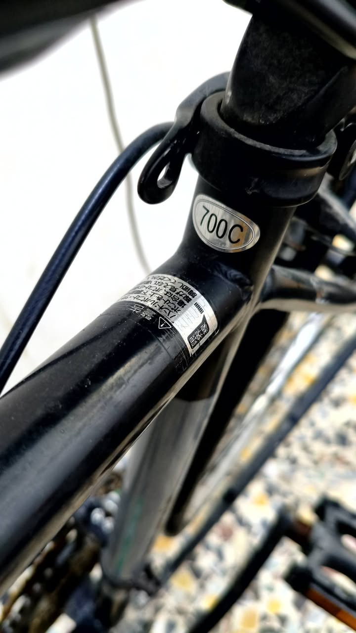 السلام عليكم شباب بايسكل C 700
نضافة فول بريكات شركة shimano الياباني الاصلي بعدهن بالچيس  تبديل نمر شغال 7 سرع اي نقص مابي مكاني بغداد 
للاتصال 
***********
