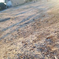 قريه الصباغيه • ٢ دونم • قرب الشارع العام