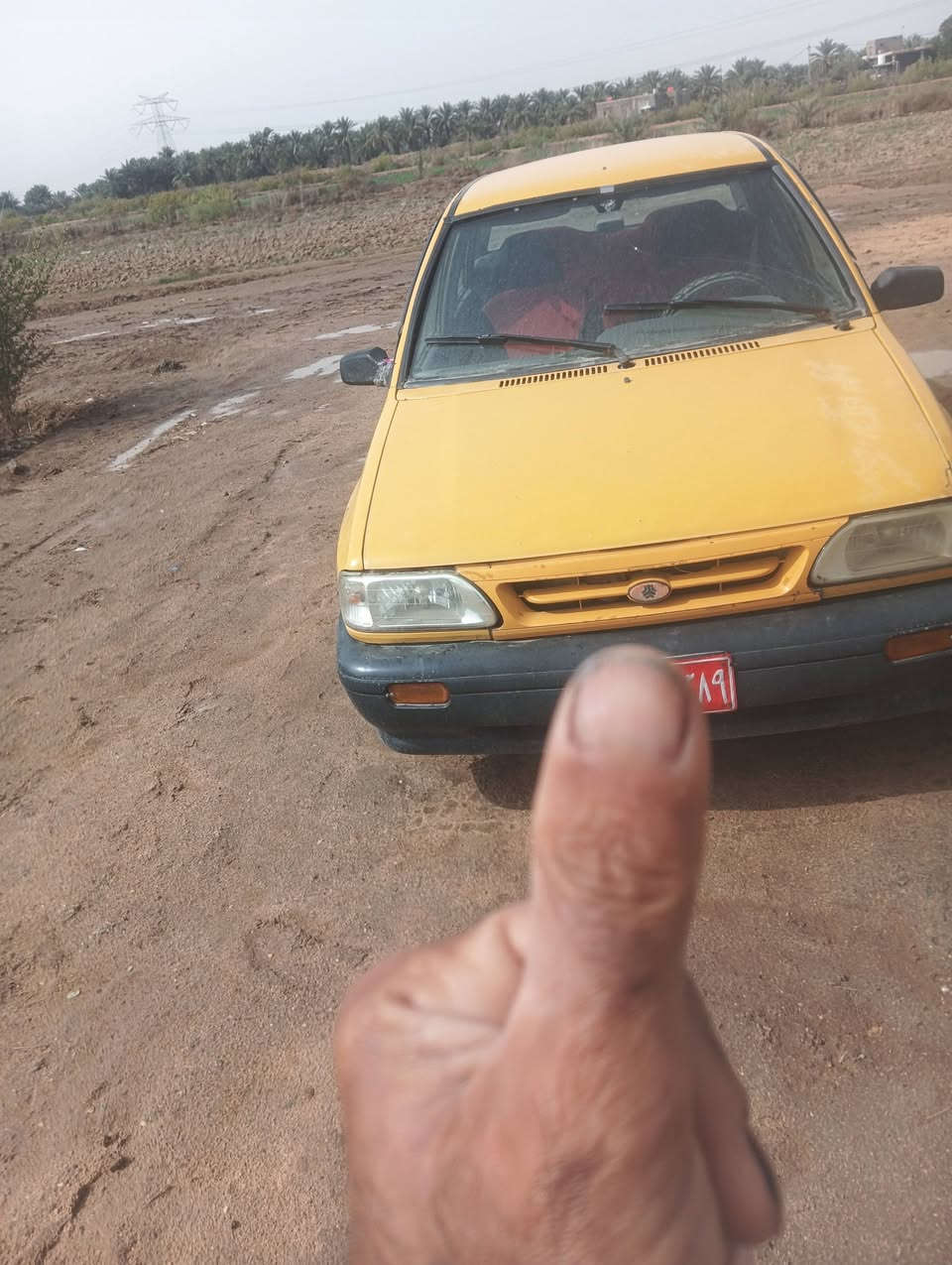 سايبه 12رقم تجف احمر راعيه موجود بيع ماوس حسب القناعه عارضه 16وبيه مجال هاذه رقمي ***********بيه واتساب
