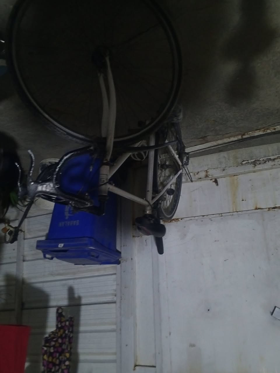 بايسكل رياضي ياباني لون أبيض مال سباق ورحال بين المحافظات السعر75 وبي مجال هواي العنوان الغزالية نزله الجسر التواصل خاص كلشي شغلات


**إذا كنت صاحب هذا الإعلان وتريد حذفه لأي سبب، رجاءا أرسل رسالة إلى الدعم الفني**