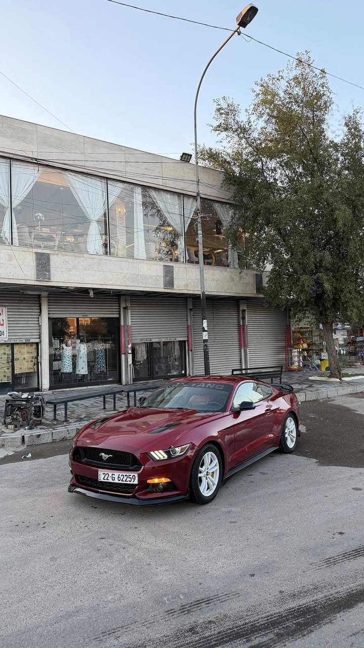 سلام عليكم حبايب 
موستنك ايكو بوست 4 سلندر توربو 
موديل 17 
قطعتين صبغ 
صدر امامي خلفي جديد 
تخم تاير جديد 
منضومه تبريد جديده 
بجم كامل gt 
داخل لونيه 
كلشي بيها شغال السياره مكفوله من كل شي رقم أربيل تحويل مباشر سنويه لل2029 
السعر 118 وبيها مجال بسيط 
مكان السياره بغداد
***********
