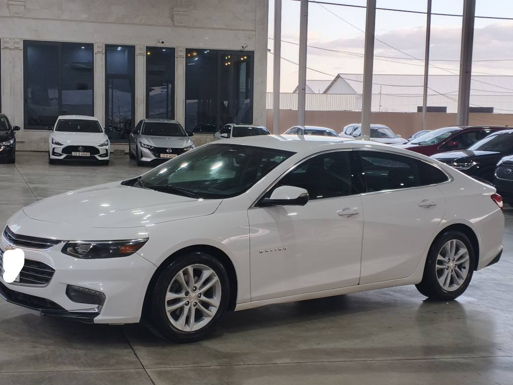 Malibu 2017 LT
بەسمە✅
٤ دەرگا بەسمە
ڕادار⚠️
خەتی جادە🚦
ئەوتۆ ستۆپ🔴
ئەوتۆ هۆلد🌀
ئیمێرجنسی برێک🆘
حاسە‼️
کامێرا📷
تحکومات سوکان🕹️
تحدید سورعە⌛️
شاشە گەورە 🖥️
Android auto ✅
Carplay ✅
Aux✅
USB✅
Bluetooth✅

ڕاداری تەنیشتەکان⚠️
ڕاداری دواوە⚠️
زۆر مواسەفاتی تر
یەک پارچەی بۆیاخە بێ ناو گرتن پێش و دووا کەپس
لە سلێمانیم 
١٠٣$گەڵا
☎️📞*********** السليمانية, العراق
