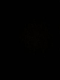 للأسف، الصورة غير واضحة والموضوع غير ظاهر. يرجى رفع صورة أوضح للغرض ال...