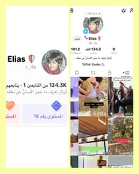 تيك توك • ١٣٤ ألف متابع • لفل ١٦