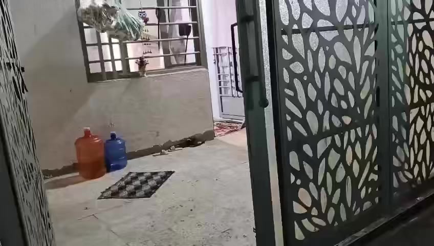 ⭕ يتوفر دار سكن للبيع في منطقة داموك 150قرب حسينية زينب الحوراء شارع مدرسة طوعه .
🔴 السعر 175 مليون . 
♻️ مساحة الدار 150 . 
♻️ ( الواجهة 10× 15 النزال )
♻️ الدار المشيدة 2018
♻️ عرض الشارع 10م . 
الدار المشيد من طابق واحد
⚜️ يضم استقبال وهول ومطبخ وغرفتين نوم وصحيات داخلية خارجية 
***********
